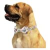 KUDES 2 collares de perro con pajarita collar de perro