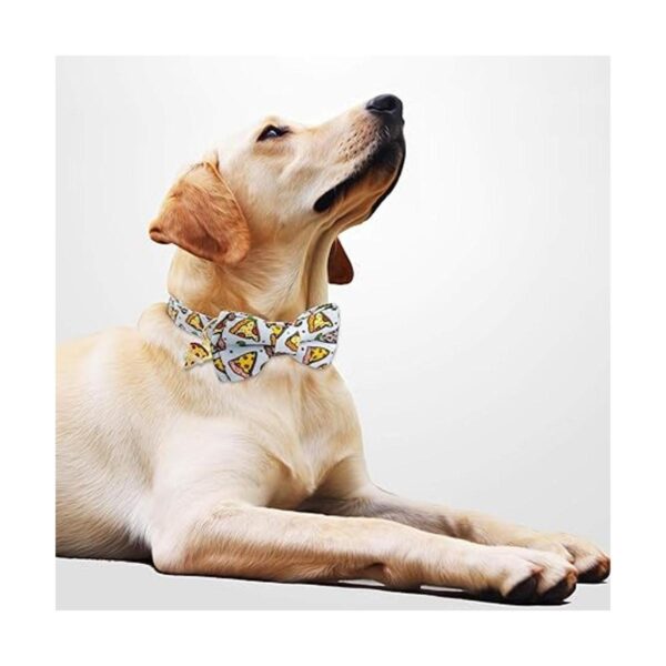 KUDES 2 collares de perro con pajarita collar de perro