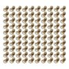 Ichiias Juego de 100 ganchos de encaje para zapatos de