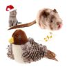 Gigwi Cat Toys for Indoor Cats Interactive Cat Toy with_1