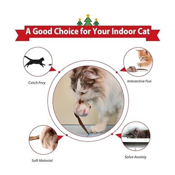Gigwi Cat Toys for Indoor Cats Interactive Cat Toy with_4