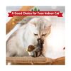 Gigwi Cat Toys for Indoor Cats Interactive Cat Toy with_6