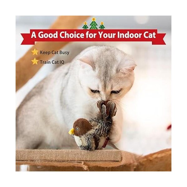 Gigwi Cat Toys for Indoor Cats Interactive Cat Toy with_6