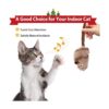 Gigwi Cat Toys for Indoor Cats Interactive Cat Toy with_5