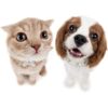 Hicarer Juego de 2 collares de perlas para perro y collar