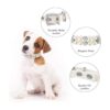 Hicarer Juego de 2 collares de perlas para perro y collar