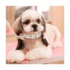 Hicarer Juego de 2 collares de perlas para perro y collar