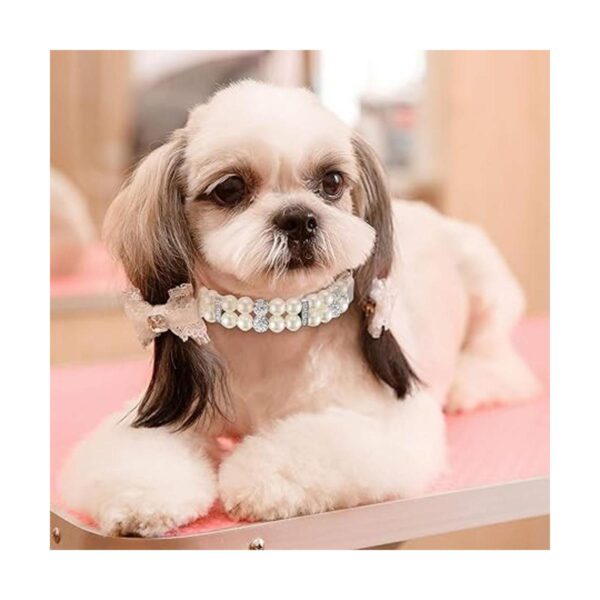 Hicarer Juego de 2 collares de perlas para perro y collar