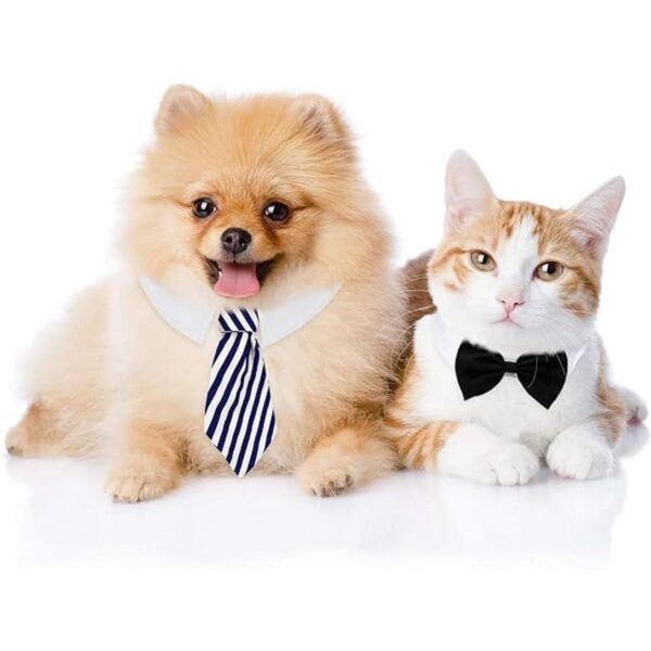 4 piezas de corbatín ajustable para mascotas collar