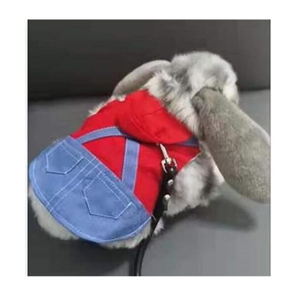 Anelekor Disfraz de mascota pequeña ropa de conejo_4