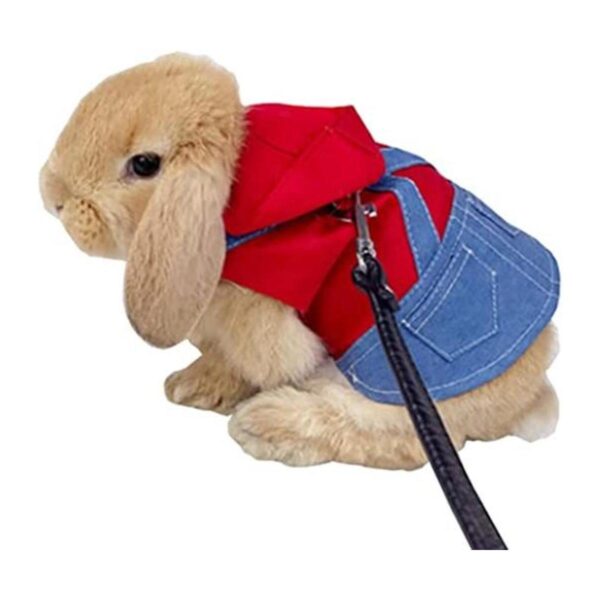 Anelekor Disfraz de mascota pequeña ropa de conejo_1