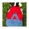 Anelekor Disfraz de mascota pequeña ropa de conejo_3