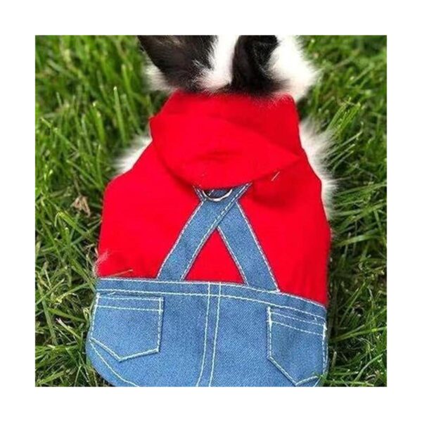 Anelekor Disfraz de mascota pequeña ropa de conejo_3