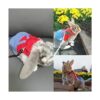 Anelekor Disfraz de mascota pequeña ropa de conejo_5