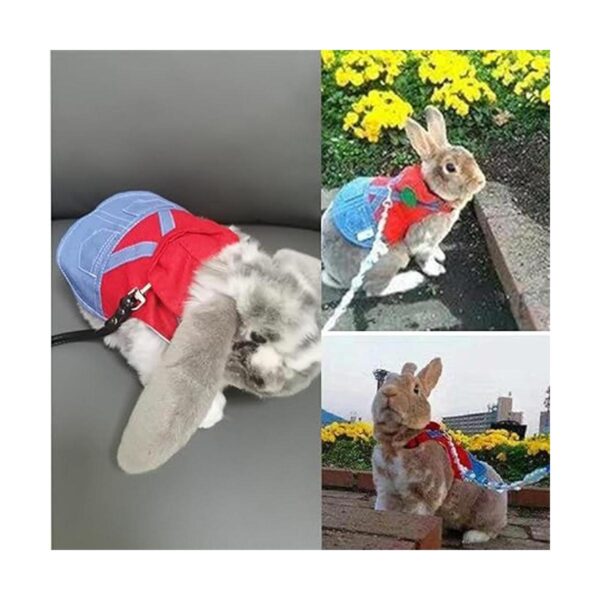 Anelekor Disfraz de mascota pequeña ropa de conejo_5