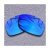 Lentes polarizadas de repuesto para Oakley Ravishing_3