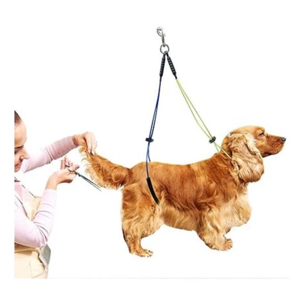 KUIDAMOS Gargantilla de aseo para perros sin sentarse con