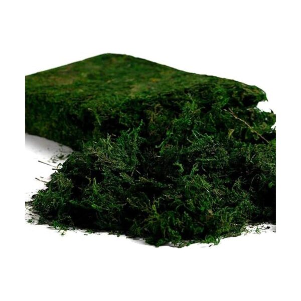 Farmoo Musgo artificial para plantas jardín de hadas