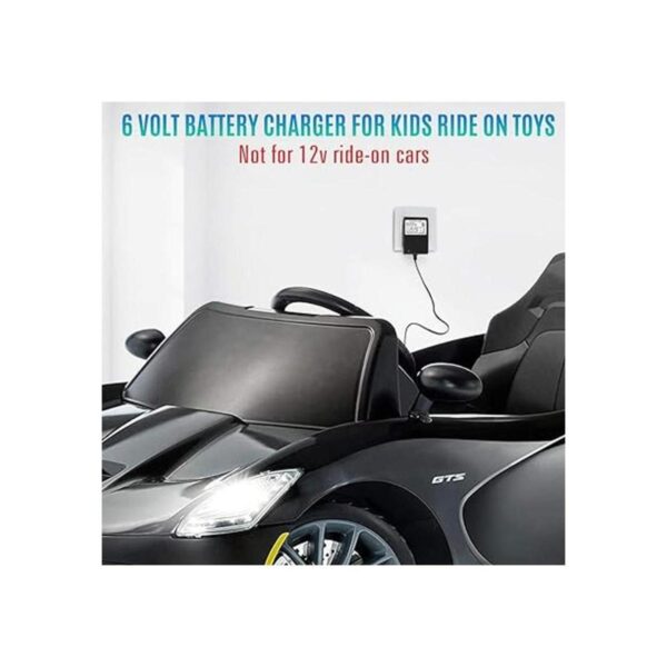 LotFancy Cargador de batería de 6 V para montar en