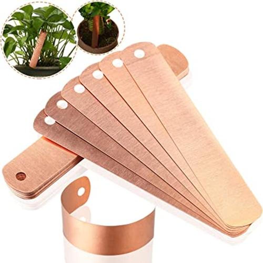 Hotop 30 etiquetas de cobre para plantas de cobre de 4.5