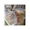 Hamiledyi Comedero automático de semillas de loros con_5