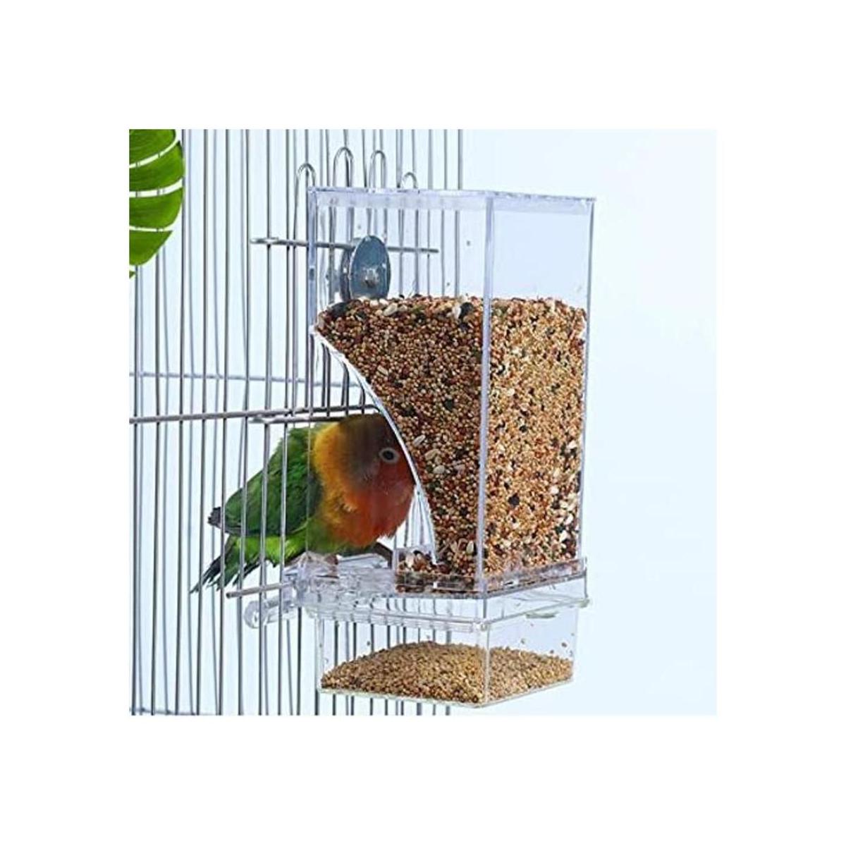 Hamiledyi Comedero automático de semillas de loros con