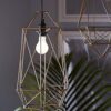 GE Lighting Bombillas LED A19 de uso general 12 W 100_5