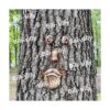 Decoración facial de árbol de anciano estatuas corteza_4