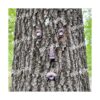 Decoración facial de árbol de anciano estatuas corteza_5