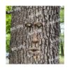 Decoración facial de árbol de anciano estatuas corteza_3
