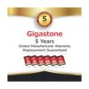 Gigastone Paquete de 2 tarjetas SD UHSI U1 Clase 10 SDHC_2