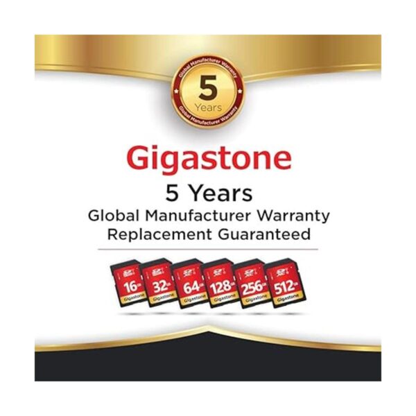 Gigastone Paquete de 2 tarjetas SD UHSI U1 Clase 10 SDHC_2