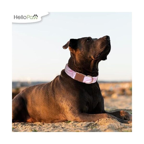 HelloPaw Rosa con oro rosa Collar de perro de nailon