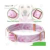 HelloPaw Rosa con oro rosa Collar de perro de nailon