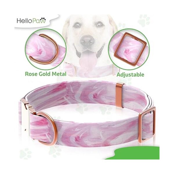 HelloPaw Rosa con oro rosa Collar de perro de nailon
