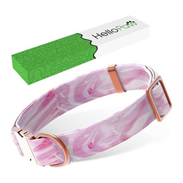 HelloPaw Rosa con oro rosa Collar de perro de nailon