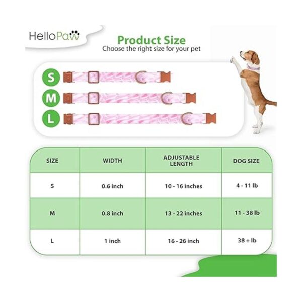 HelloPaw Rosa con oro rosa Collar de perro de nailon