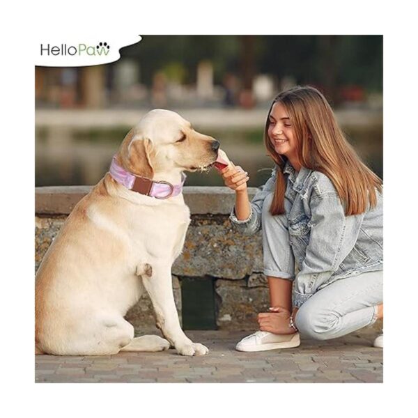 HelloPaw Rosa con oro rosa Collar de perro de nailon