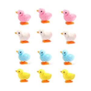 Paquete de 12 pollos de primavera viento hasta el pollo_1