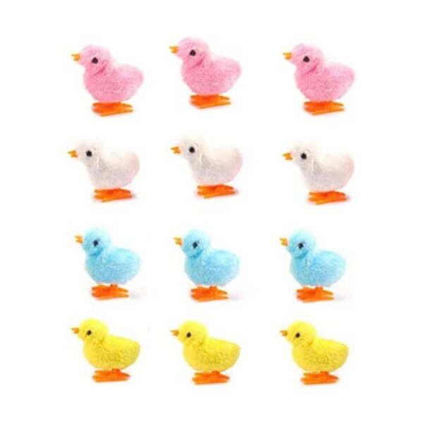 Paquete de 12 pollos de primavera viento hasta el pollo_1