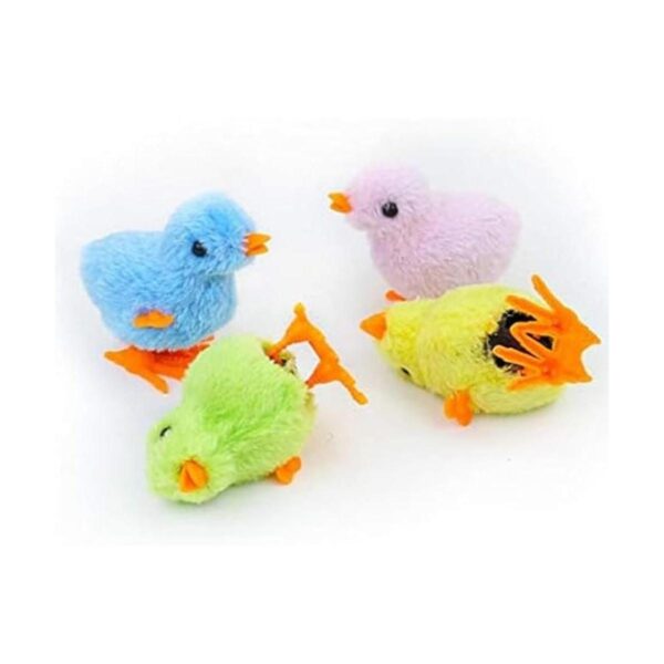 Paquete de 12 pollos de primavera viento hasta el pollo_3