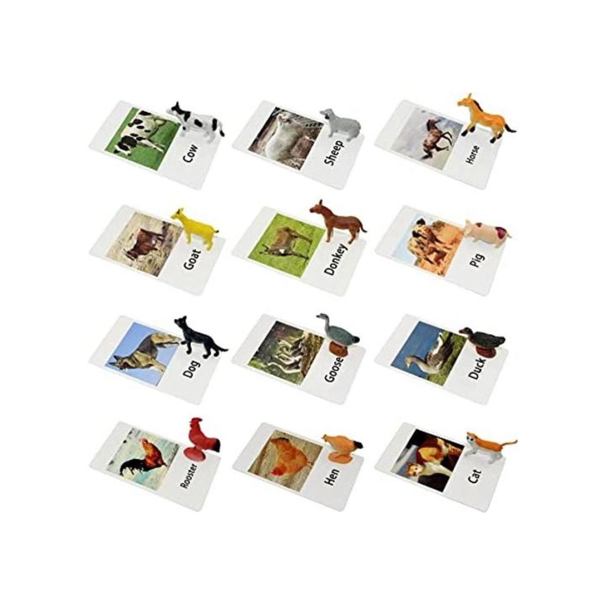 Juguetes de animales de granja con tarjetas flash 12