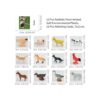 Juguetes de animales de granja con tarjetas flash 12_3