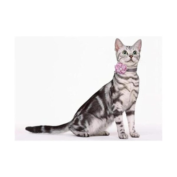 Freewindo 2 collares de gato pajarita collar de perro