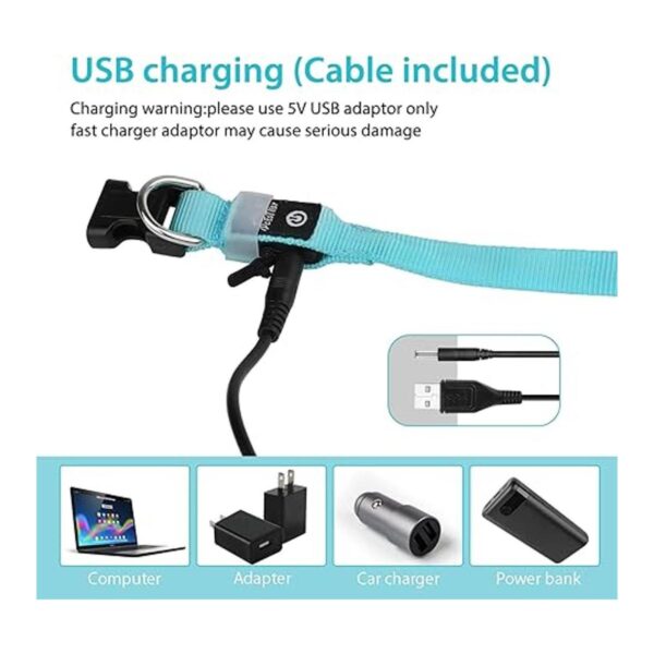 Led Dog Collar USB Rechargeable Light Up Dog Collars for_6