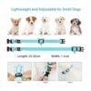 Led Dog Collar USB Rechargeable Light Up Dog Collars for_4