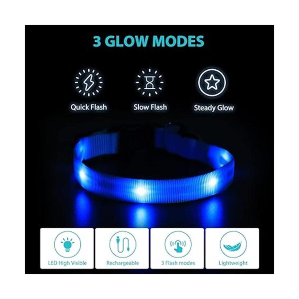 Led Dog Collar USB Rechargeable Light Up Dog Collars for_3