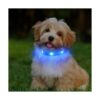 Led Dog Collar USB Rechargeable Light Up Dog Collars for_2