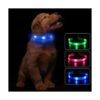 Led Dog Collar USB Rechargeable Light Up Dog Collars for_5