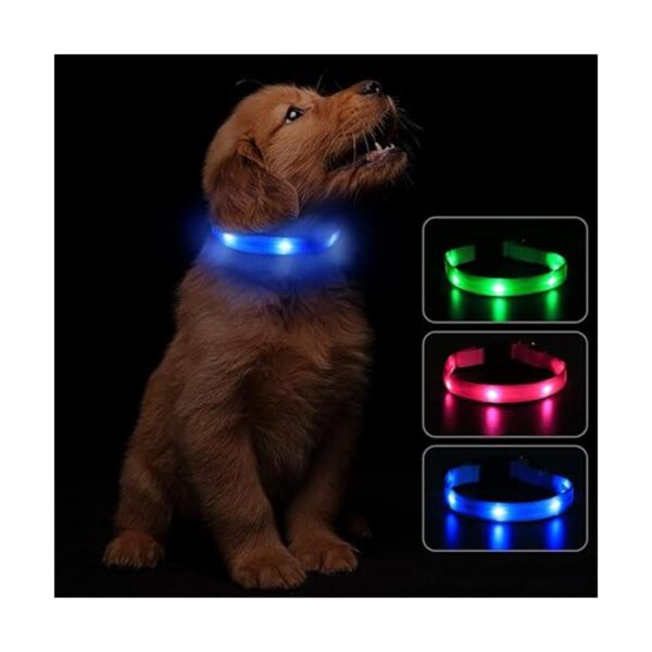 Led Dog Collar USB Rechargeable Light Up Dog Collars for_5